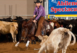 Reycy Moon - Abilene Spectacular 4YO Open